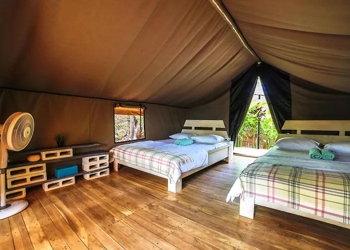 Hotel Flor Y Bambu