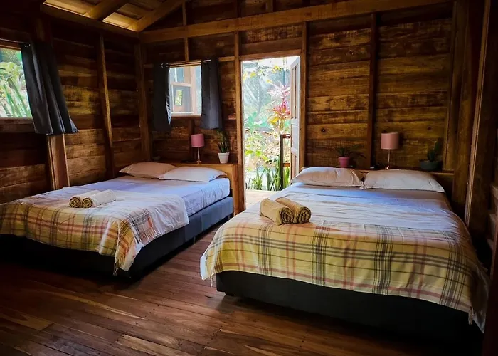 Hotel Flor Y Bambu 3*