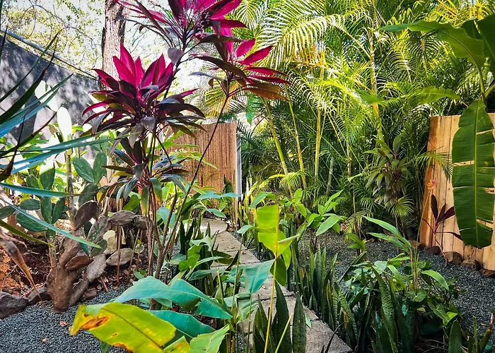 Flor Y Bambu Hotel