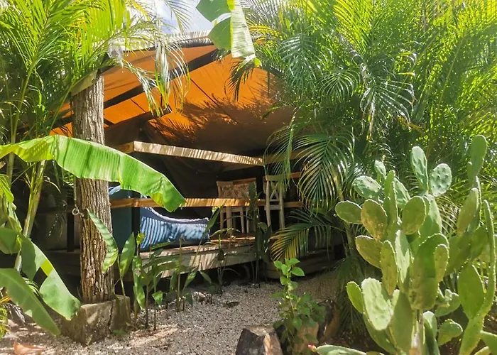 Hotel Flor Y Bambu 3*