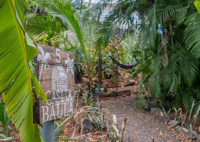 Hotel Flor Y Bambu Playa Grande