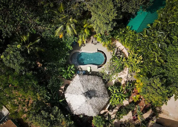 Hotel Flor Y Bambu Playa Grande